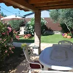 Dani Escalona Toledo