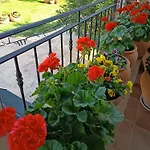 Dani. Escalona