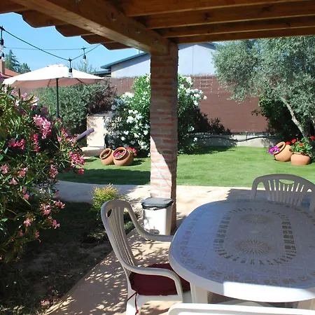 Dani Escalona Toledo