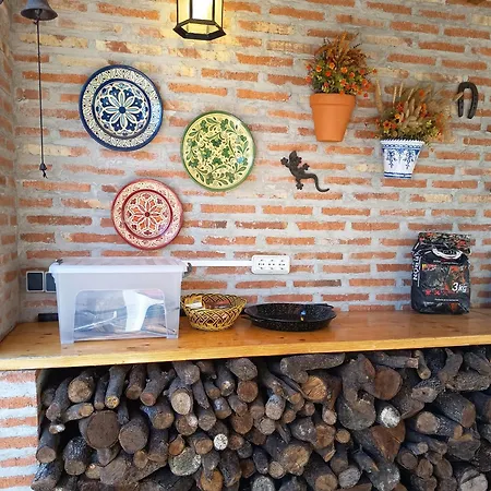 Dani Escalona Toledo