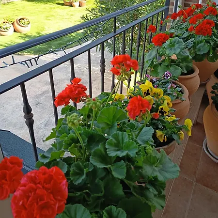 Dani. Escalona
