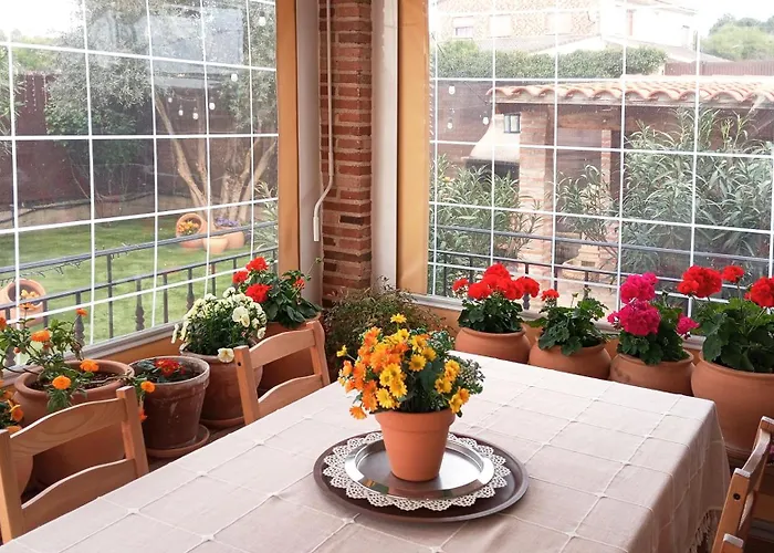 Dani. Escalona * 톨레도